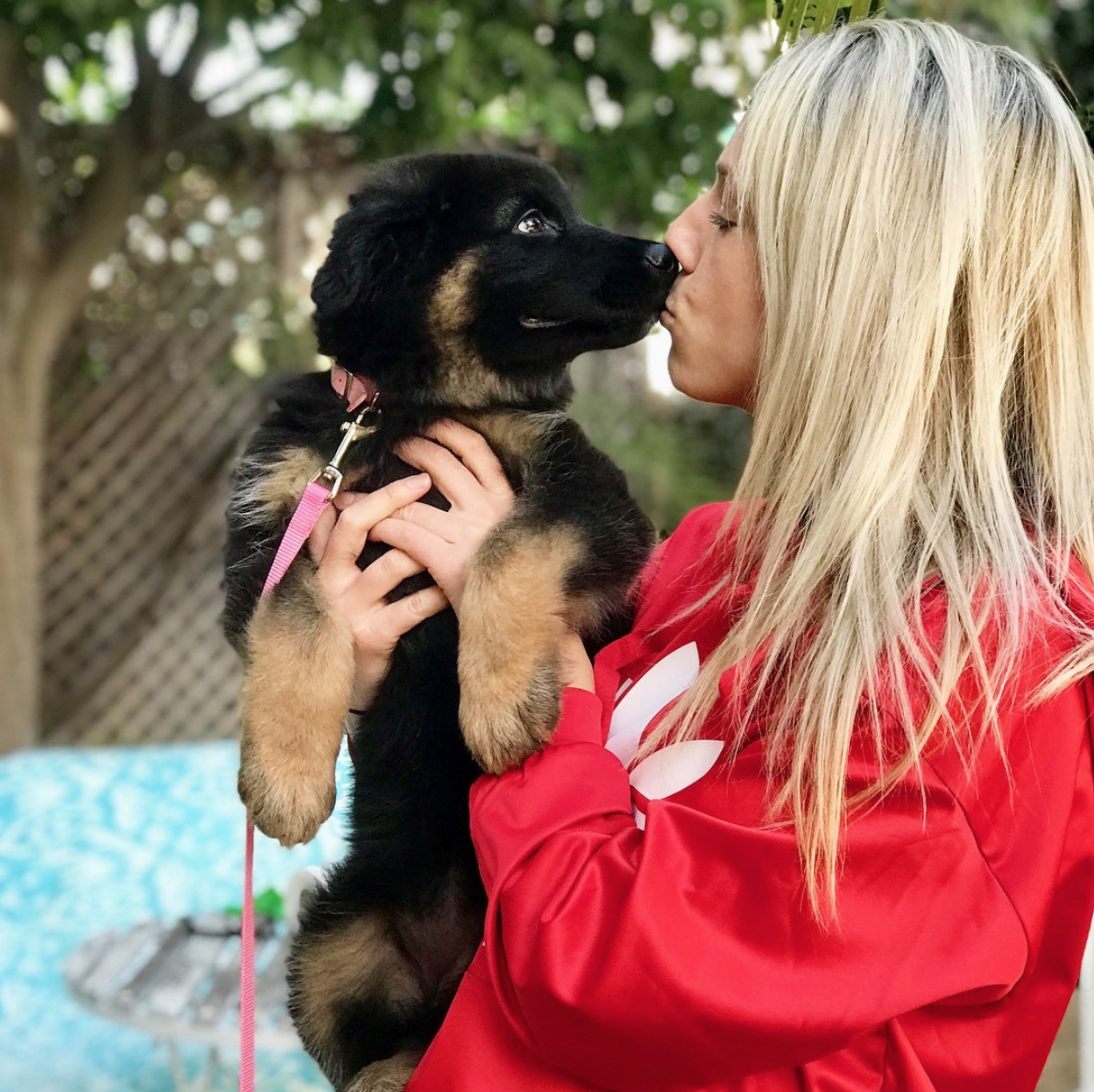 Kaelin & Kaya