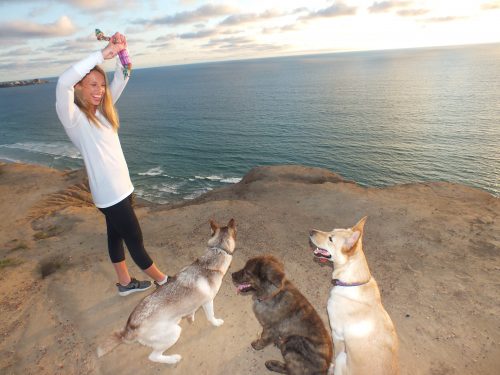 all things pups