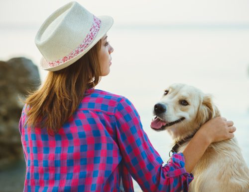 positive reinforcement Woman with a dog on a walk on the beach