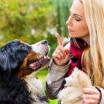 How Setting Limitations Help You Train A Well-Behaved Dog